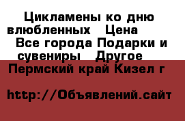 Цикламены ко дню влюбленных › Цена ­ 180 - Все города Подарки и сувениры » Другое   . Пермский край,Кизел г.